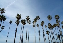 Where Have All Our Characters Gone?