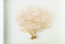 CALM Hosts Santa Barbara Gift Show & Sale