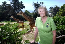 The SB Questionnaire: Nancy McTolridge