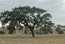 Doom and Gloom Report Looks at Climate Change