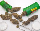 Pot Shop Complaints