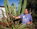 Aloe Can You Go?