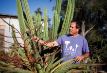 Aloe Can You Go?