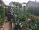 Urban Gardening
