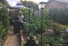 Urban Gardening