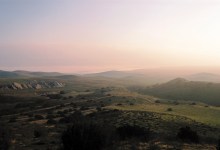 Carrizo Plain: The American Serengeti