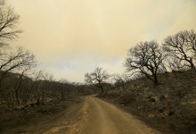Forest Service Details Whittier Fire Fallout