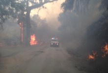 Rescuing Children from the Whittier Fire