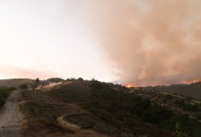 Whittier Fire: Friday, July 21 Update