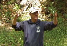 Pascal Baudar Forages for Wild Beers