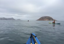 Kayaking San Miguel Island