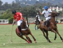 Polo High Season in Carpinteria