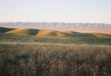 Los Padres ForestWatch Defends Carrizo Plain
