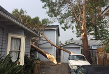 First Responders Rescue 56 From Harbor After Brief Rainstorm
