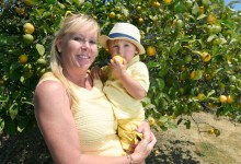 The S.B. Questionnaire: Michele Schneider