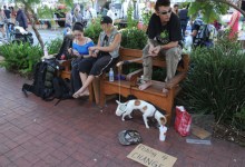 Santa Barbara’s Open Season on Panhandlers