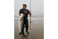 Striped Bass in Southern California