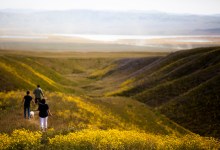 Carrizo Plain Safe from Interior Secretary Zinke?