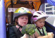 Grocery Shopping by Bike