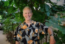 It’s Easy Being Green