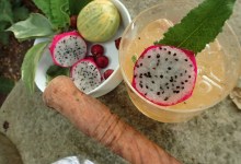 Spirit of Lotusland Cocktail Contest Returns