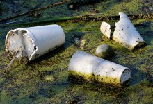 New Year Means No More Styrofoam