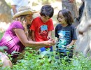 Outdoor Education a Plus for Lessons in Science and Language Arts