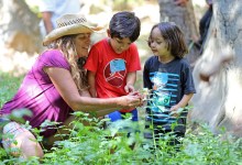 Outdoor Education a Plus for Lessons in Science and Language Arts