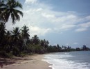 West Papua Update