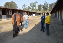 Protecting Large Animals from the Thomas Fire