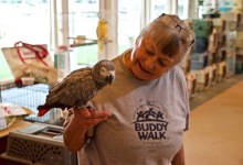 A Safe Place for Evacuated Animals