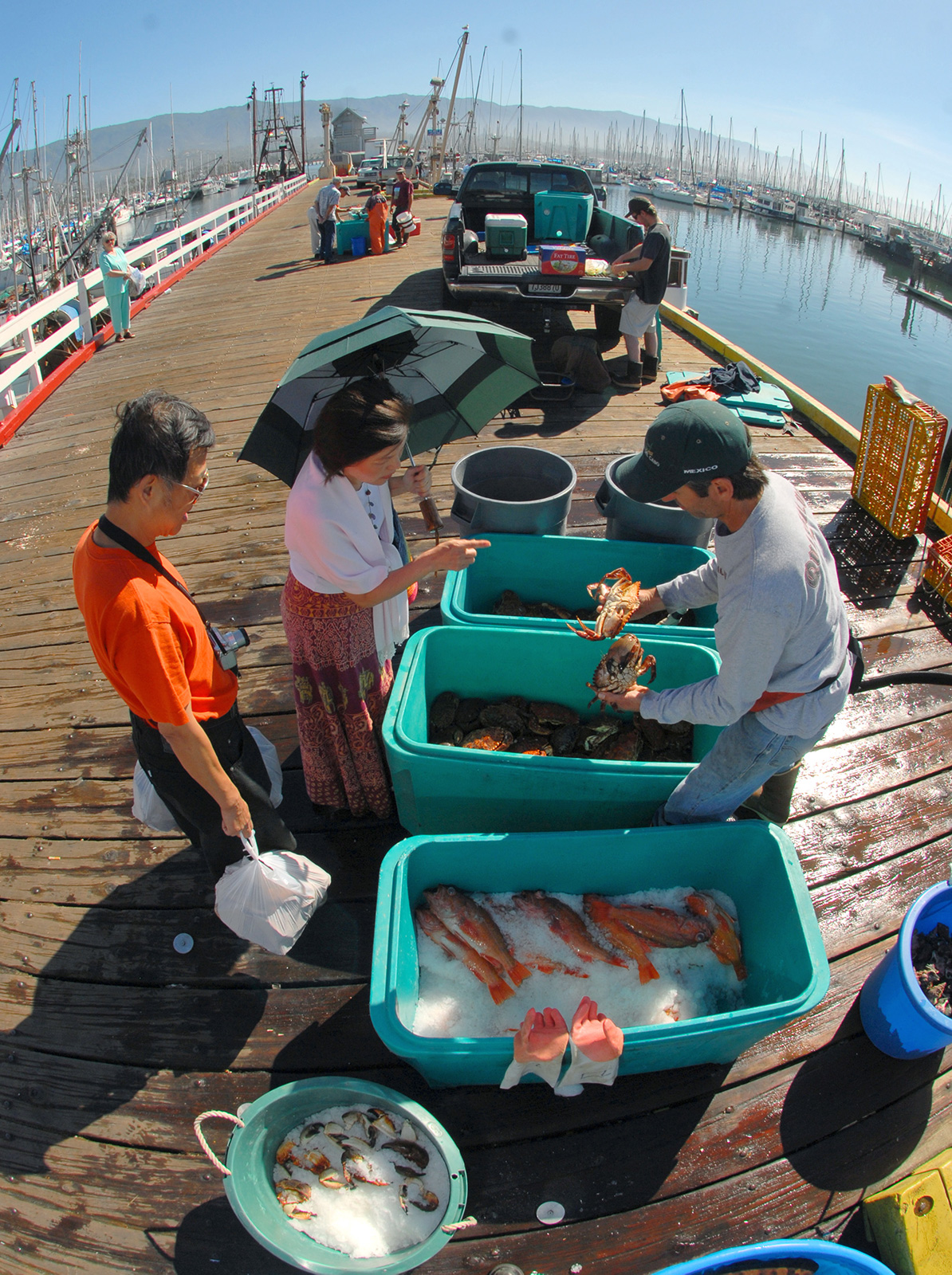 What's Up with the Santa Barbara Fisherman's Market? - The ...