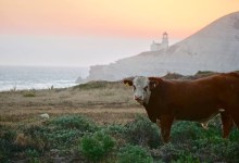 With $165 Million Private Donation, The Nature Conservancy Purchases Cojo Jalama Ranches