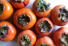 Turning Persimmons into Hot Sauce