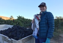 Marisa Beverly @ Bevela Wines