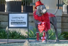 Make Myself at Home: Standing Guard over 2010 Garden Street