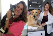 Veterinarian Suicides Reflect Quiet Professional Crisis