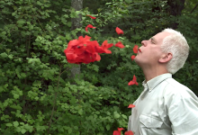 ‘Leaning into the Wind: Andy Goldsworthy’ Is Dreamy and Visually Gorgeous