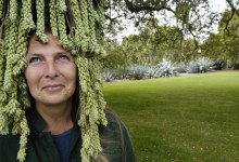 In Memoriam: Virginia Hayes, 1950-2018