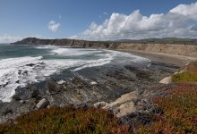 Big Nature on the Jack and Laura Dangermond Preserve