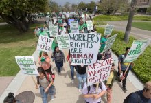 UC Santa Barbara Workers Join System-Wide Strike