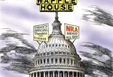 The U.S. and Its Guns: Time for Rehab