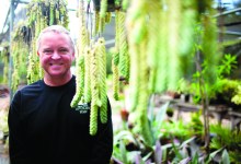 Make Your Garden Look Like Lotusland