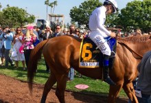 Legalized Gambling, Triple Crowns, and Sure Things