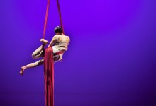 The Floor to Air Festival’s ‘Sonnet of Limbs’