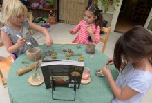 Preschoolers Present Mindful Tea Party