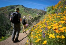 Join the Sierra Club’s Los Padres Chapter