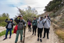 Birdwatching at the Santa Rosa Island Research Station