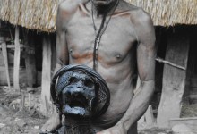 Papuan Fat Cats