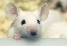 You Can’t Get There from Here, and It’s Not an Accident